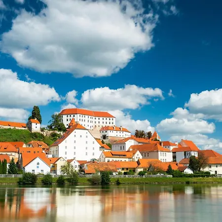 Vineyard Vesna View - Happy Tatil Evi Veliki Vrh