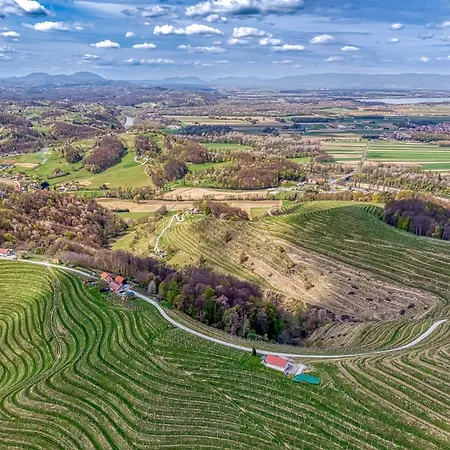 Tatil Evi Vineyard Vesna View - Happy Veliki Vrh