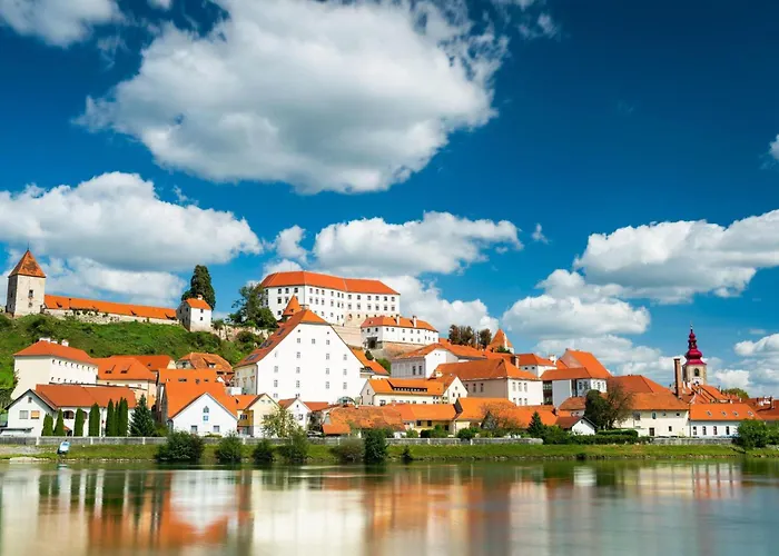 Vineyard Vesna View - Happy Σπίτι διακοπών Veliki Vrh