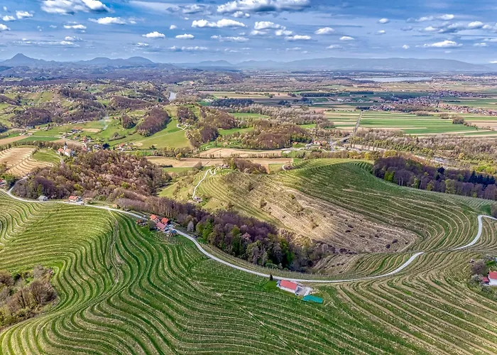 Σπίτι διακοπών Vineyard Vesna View - Happy Veliki Vrh