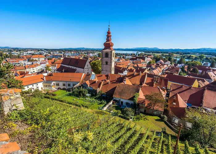 Vineyard Vesna View - Happy *