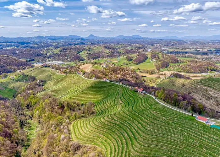 Vineyard Vesna View - Happy Σπίτι διακοπών