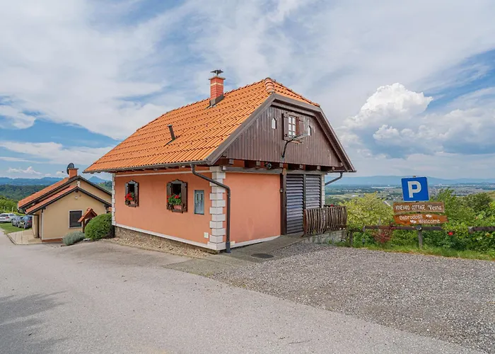 Σπίτι διακοπών Vineyard Vesna View - Happy Veliki Vrh