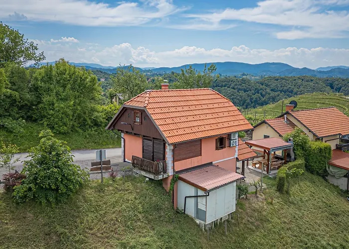 Vineyard Vesna View - Happy Veliki Vrh